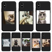 ☇☊ Cute kitten Black Fashion Phone Case For iPhone X XR XS Case Soft Colorful TPU For Apple iPhone X Xr XS MAX Silicone Cute Cover