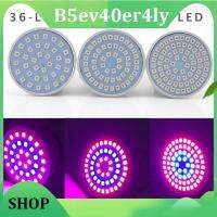 B5ev40er4ly Shop 110V 36/54/72 LED Plant Grow Light Lamps Indoor Cultivo Flower Red Blue Growing Light For Hydro Growbox Fitolampy