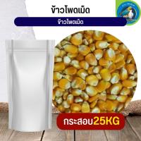 สุดยอด ข้าวโพดเม็ด corn kernels อาหารนก กระต่าย หนู กระต่าย กระรอก ชูก้า และสัตว์ฟันแทะ (กระสอบ 25KG)