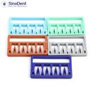 【CC】 1 Endo Files Holders  8 Holes 16 for 5 Colors Block Sterilization Autoclavable