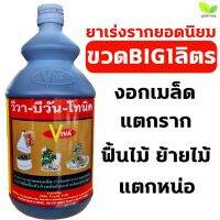 Pro +++ วีวา บีวัน โทนิค ขวด1ลิตร Viva ยาเร่งรากยอดนิยมที่ครอบคลุมไม้ทุกประเภท ราคาดี อุปกรณ์ ทาสี บ้าน แปรง ทาสี ลายไม้ อุปกรณ์ ทาสี ห้อง เครื่องมือ ทาสี