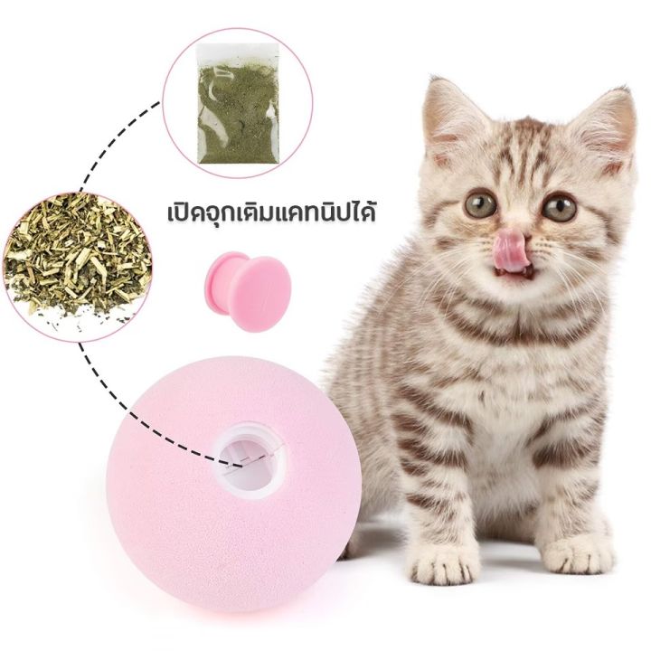 บอลแมว-แคทนิปบอล-แคทนิปบอล-ของเล่นแมวเด็ก-ของเล่นแมวโต-อุปกรณ์แมวเล็ก-อุปกรณ์แมวโต-บ้านแมว-ราคาถูก-ของใช้แมวถูกๆ-ของใช้แมวเด็ก-cat-อุปกรณ์เลี้ยงแมว-แมว-เด็ก-ฟรี-หรูๆ-ขยับ-ลูกบอล-และ-ของ-วิ่ง-เล่น-ขนาด