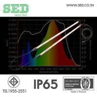 หลอดไฟปลูกต้นไม้ขนาด 18 วัตต์ ความยาวหลอดไฟ 90 ซม. 2 ท่อน สำหรับปลูกแคคตัส ไม้อวบน้ำ หรือ ผักกินใบทุกชนิด