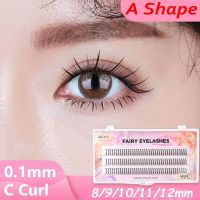 MOLISAN C Curl ธรรมชาติ กลุ่มยาว ต่อขนตา ขนตาปลอม เครื่องมือแต่งหน้า DIY Eye ขนตาเดี่ยว ต่อขนตาด้วยตนเอง ขนตาปลอมแบบ A ขนตาปลอม