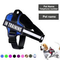 Dropshipping Personalized Dog Harness Reflective Adjustable Top Custom Name Label Training Supplies