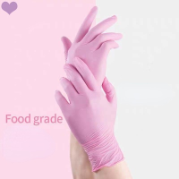 100pcs Disposable Gloves Red Pink Latex Free Woman Female Home Workplace Safety Elastic Glove Synthetic Nitrile Vinyl Small