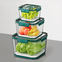 Kitchen Storage Food organizer Container Seal Stable Cans For Fridge High-capacity Fresh Eggs Vegetable Fruit Storage Box