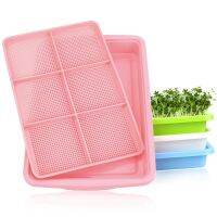 【hot】❁▽۩  Planting Tray Layer Dishes Plate Sprouts Growing Seedlings