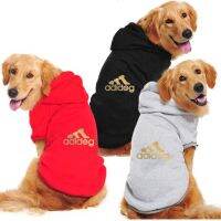 fashion large dog cat cool clothes autumn winter puppy kitty golden letter printed  hoodies accesorios puppy jumper designer