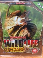 VCDสารคดี WILDLIFE SPECIALS สุดยอดกิ้งก่า (VCD3589-สุดยอดกิ้งก่า) พากย์ไทย สารคดี สารคดีสัตว์ ผจญภัย แบบซอง วีซีดี vcd STARMART