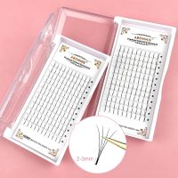 【cw】 ABONNIE Premade Volume Lash Fans 3D/4D/5D/6D Stem Extension Cils Russian Eyelashes