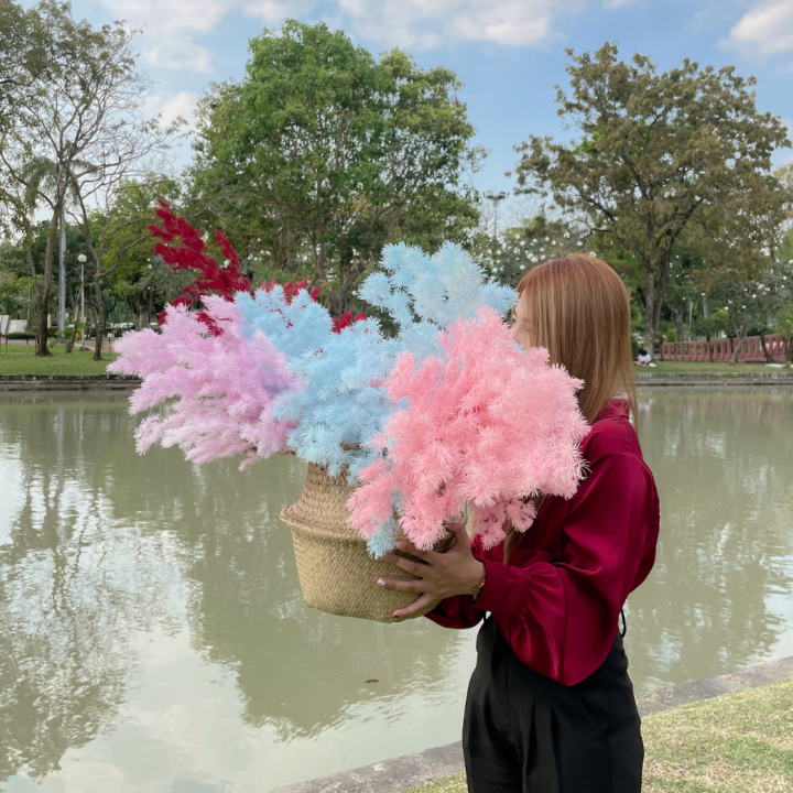 ก้านต้นสนพุ่มฟู-ตกแต่งบ้าน-ก้านประดิษฐ์-ก้านแซมช่อดอกไม้-สีน่ารัก-ช่อใหญ่-ตกแต่งได้ทุกโอกาส-พุ่มหนา