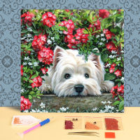 Animal Dog Full Drill Diamond Painting Stitch Stitch Handmade Hobby Craft Handicraft Gift Promotions