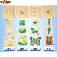 [COD] EDUCO Four-layer Growth - Turtle Multi-layer Jigsaw 9 Types