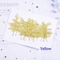 24pcs 12 Colors Real Natural Leaf Dried Pressed Flowers Artemisia Annua BranchDry Green Leaves For Resin JewelleryPhone Case