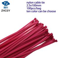 100Pcs/pack 2.5*100mm width 2.5mm Colorful Factory Standard Self-locking Plastic Nylon Cable Ties Wire Zip Tie