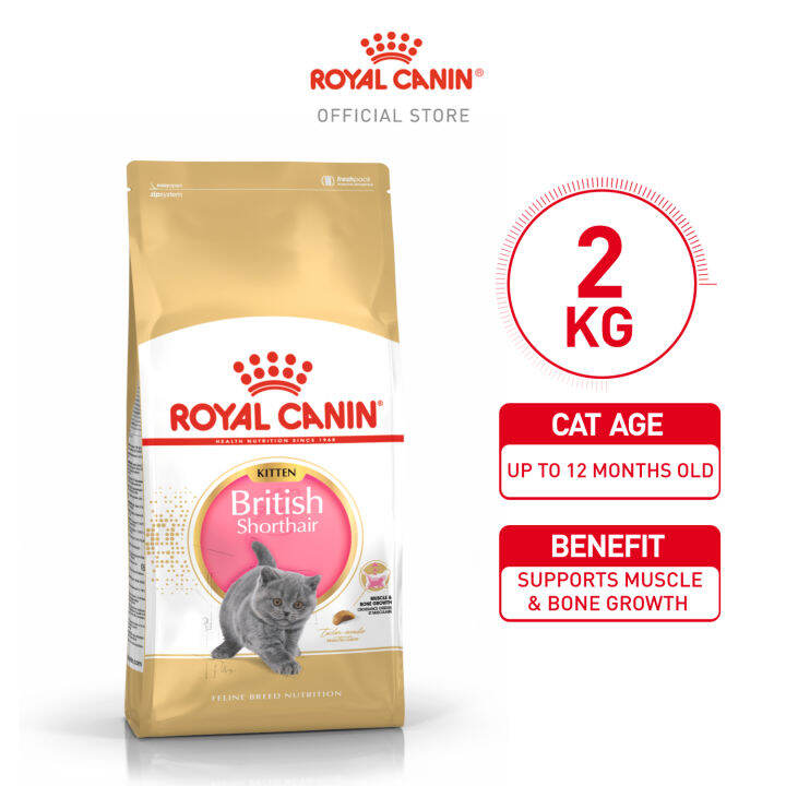 Royal Canin British Shorthair Kitten Dry Cat Food (2kg) - Feline Breed ...