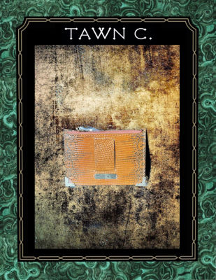 TAWN C. Exotic Skin Accessory &amp; Stationary Collection - Lizard Skin, Coin Pouch in Nude Brown