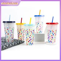 710Ml With Straws Creative Water Cup Changing Colour Cup Magical Plastic Cold Water Color Changing Cup Leakproof Reusable