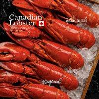 กุ้งล็อบเตอร์ 550-700 กรัม/ตัวแช่แข็ง เนื้อแน่นจาก  Canadian Lobster 550-700 G/PIECE