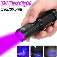 Ultra Violet LED Flashlight 395/365NM Waterproof Portable Ultraviolet Torch with Zoom Focus UV Lamp Pet Urine Stains Detector Rechargeable Flashlights