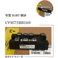 CVM75BB160 CVM100BB160 DFA100BA160 CVM40BB160 100 ใหม่และเป็นต้นฉบับ