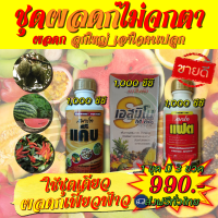 ชุดผลดกไม่จกตา 1ลิตร เพิ่มการผสมเกสร ขั้วเหนียว ติดผลดก สะสมตาดอก ขยายขนาดลูก เนื้อแน่น กันผลแตก ลดการหลุดร่วง คูลเกษตร