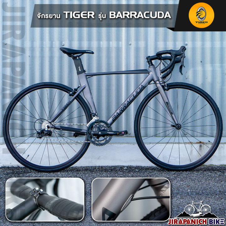 จักรยานเสือหมอบทรงแอโร-tiger-รุ่น-barracuda-ตัวถังอัลลอยด์ซ่อนสาย-น้ำหนักรวม-10-25-kg-เกียร์มือตบ-18-สปีด