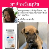 ส่งฟรีทุกรายการ เนื้องอก ในกระเพาะปัสสาวะ สุนัข อาหาร สุนัข กระเพาะปัสสาวะอักเสบ อาหารสุนัข royal canin อาหาร รักษาโรค สุนัข ผ่าตัด ท่อป