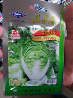 เมล็ดพันธุ์ ขาวปลี พันธุ์มณีกาญจน์ chinese cabbage maneekan กรอบ อร่อย ดูแลน้อย ต้นแข็งแรง ปลูกง่าย น้ำหนักดี ผลผลิตสูง ทนโรค