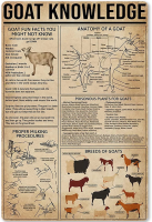 แพะความรู้โลหะดีบุกเข้าสู่ระบบ-Infographic ดีบุกโปสเตอร์โล่สำหรับฟาร์มบ้านครัวโรงเรียนคลับตกแต่งผนัง-เหมาะสำหรับคนรักแพะ