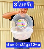 3ใบ ขนาดในรูปครับ   กะละมังพลาสติก  เล็กครับ  กะละม้งซักผ้า  กะลังมังล้างผัก  กะละมังแช่ผ้า  กะละมัง   กะละมังเล็ก