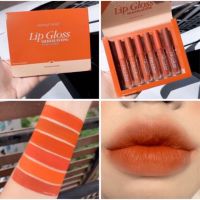 เซตกลอส 6 ชิ้น  HENGFANG LIP GLOSS SILKY&amp;LASTING#7029