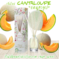 ก้านไม้หอมปรับอากาศ CANTALOUPE แคนตาลูป