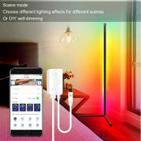 Smart Floor Lamp RGBW EUUSUK Plug Bedside Living Room Bedroom Indoor Decor Led Floor Atmosphere Light With 24Keys Controller