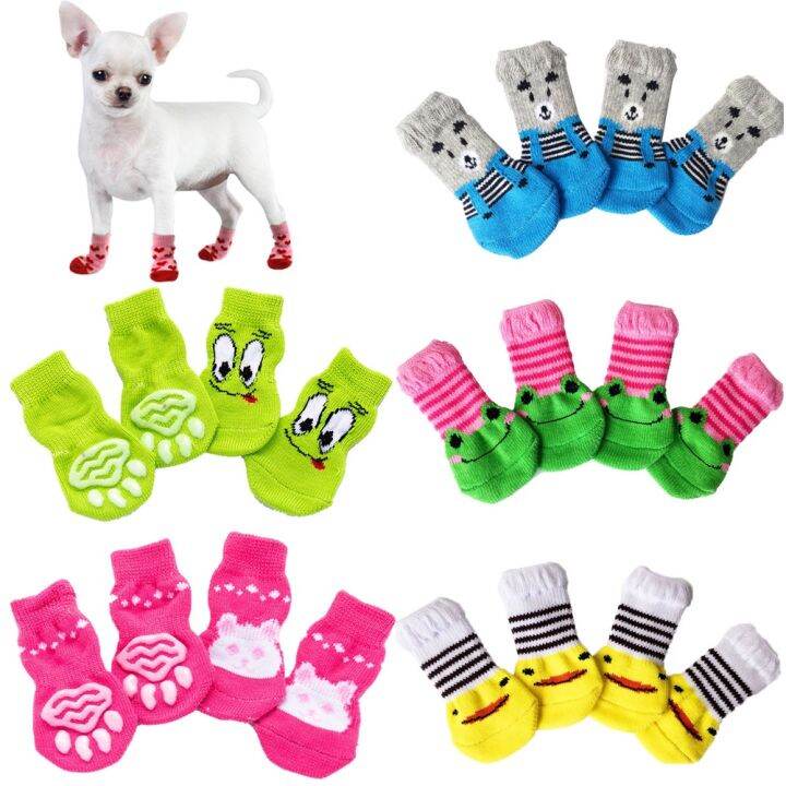 Dog shoes hot sale lazada