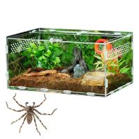 สัตว์เลื้อยคลานถังแมลงแมงมุมเต่าจิ้งจกอะคริลิใสพันธุ์กล่อง Vivarium ฝาสัตว์เลื้อยคลานผลิตภัณฑ์สัตว์เลี้ยง T Errarium