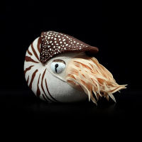 18x20เซนติเมตรเหมือนจริง Nautilus ของเล่นตุ๊กตาชีวิตจริง Chambered Nautilus ยัดไส้สัตว์ของเล่นนุ่มชีวิตทะเลของขวัญของเล่นสำหรับเด็ก