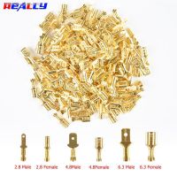 ▲✿◑ 100Pcs/Lot 2.8/4.8/6.3mm Female and Male Crimp Terminal Brass Car Speaker Electric Wire Connectors And Insulating Sheath