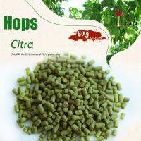 【❖New Hot❖】 surengwe1 50กรัมฮ็อพ Citra กลิ่นดอกไม้ยีสต์บ้านชงไวน์เบียร์ Ipa จักรพรรดิ Ipa สีพาสเทลน้ำตกนักรบ Halertauer ประเพณี Zeus