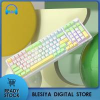 Blesiya คีย์บอร์ดแบบกลไกไฟแบคไลท์สี RGB 4000MAh สามารถสลับได้สำหรับนักเล่นเกม