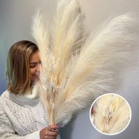 Artificial Pampas Grass Simulation Flower Reed Stem Simulation Reed Home Decoration Wedding Holiday Decoration Flowers Artificial Flowers  Plants