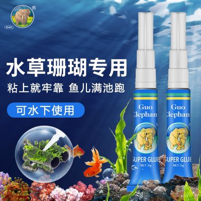 National elephant Moss glue grass glue waterscape skeleton sinking wood sticky Moss aquarium aquarium landscaping stone underwater special 50 coral glue moss strong universal marble glue environmental protection instant dry gel glue