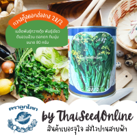 เมล็ดพันธุ์ กป 80 กรัม ผักกาดกวางตุ้งดอกฮ่องกง เบอร์ 28 ตราลูกโลก