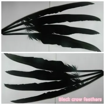 15PCS 30-35cm Black Raven Feathers Handmade Crafts DIY Decorative  Accessories