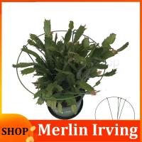 Merlin Irving Shop Metal Round adjustable Garden Flower plant Stand Support circle Stake Ring holder Climbing Iron Gardening Tools for bonsai Veg q