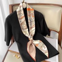 ★New★ French retro elegant spring and autumn all-match ins silk scarf small long strip narrow streamer braided hair scarf tied bag belt headband