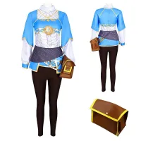 ☃▲ [Quality in stock] Halloween cos the Legend of Zelda wild cosplay Princess full set of role-playing clothing
