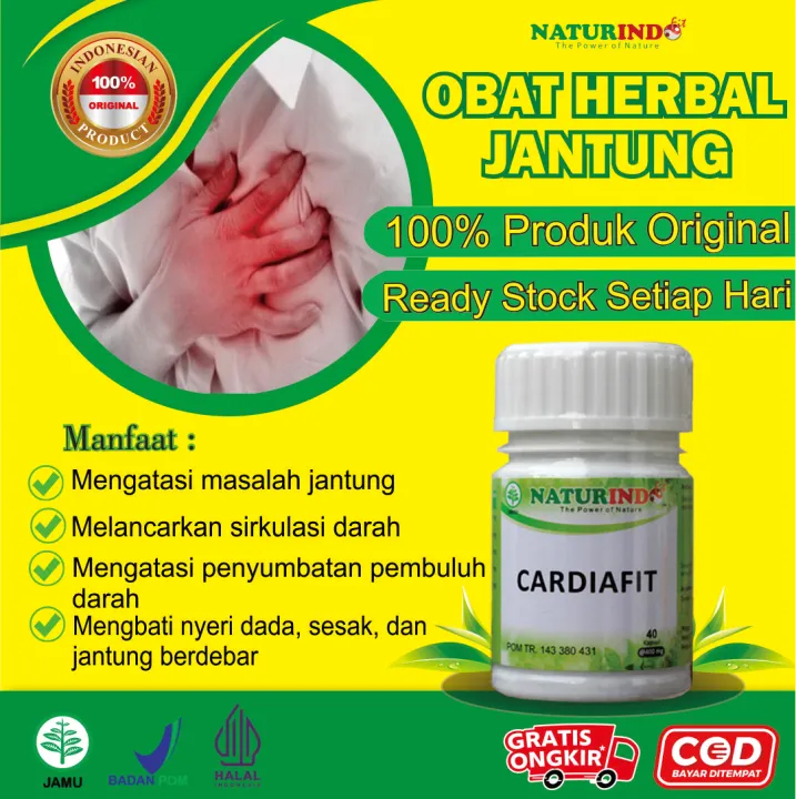 Obat Sakit Jantung Obat Jantung Lemah Jantung Bengkak Obat Telapak