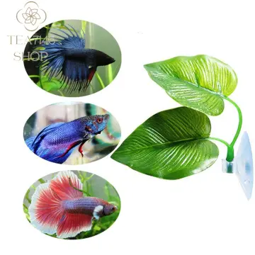 Buy Betta Fish Fake Plant Online | Lazada.Com.Ph